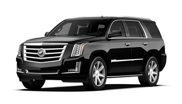 Luxury SUV